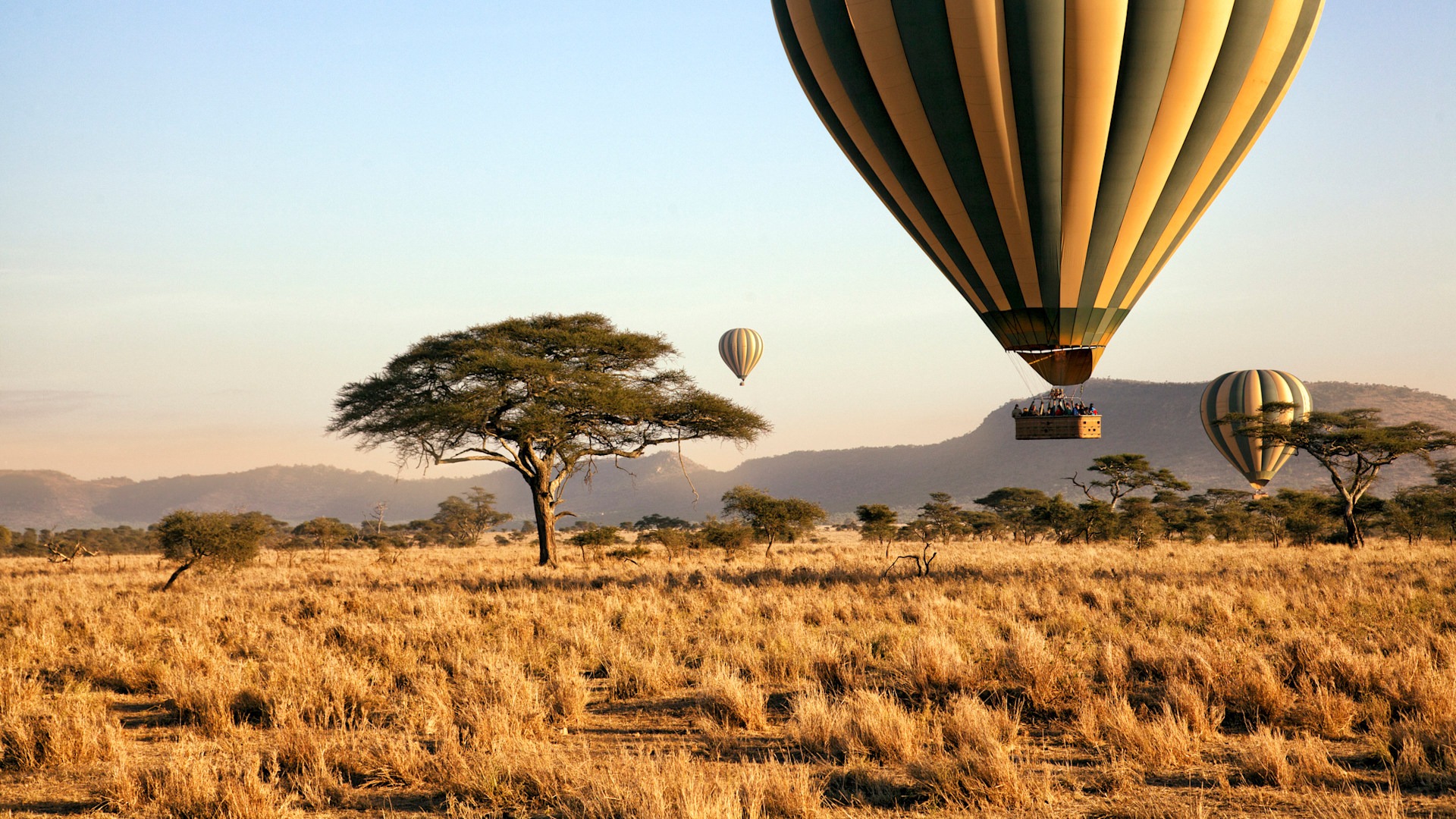 Balloon safari at dawn