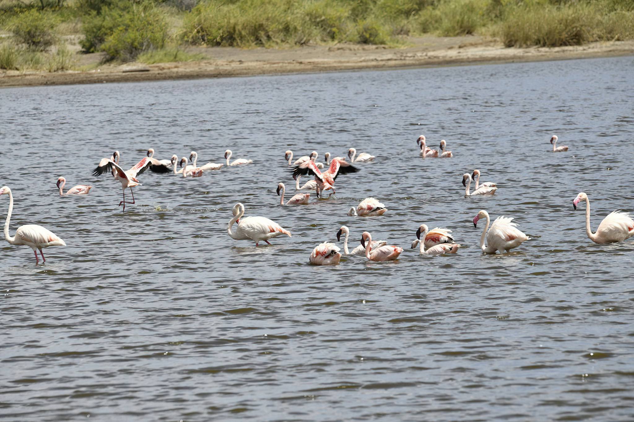 Meru, the Momela Lakes, Ngurdoto Crater, and