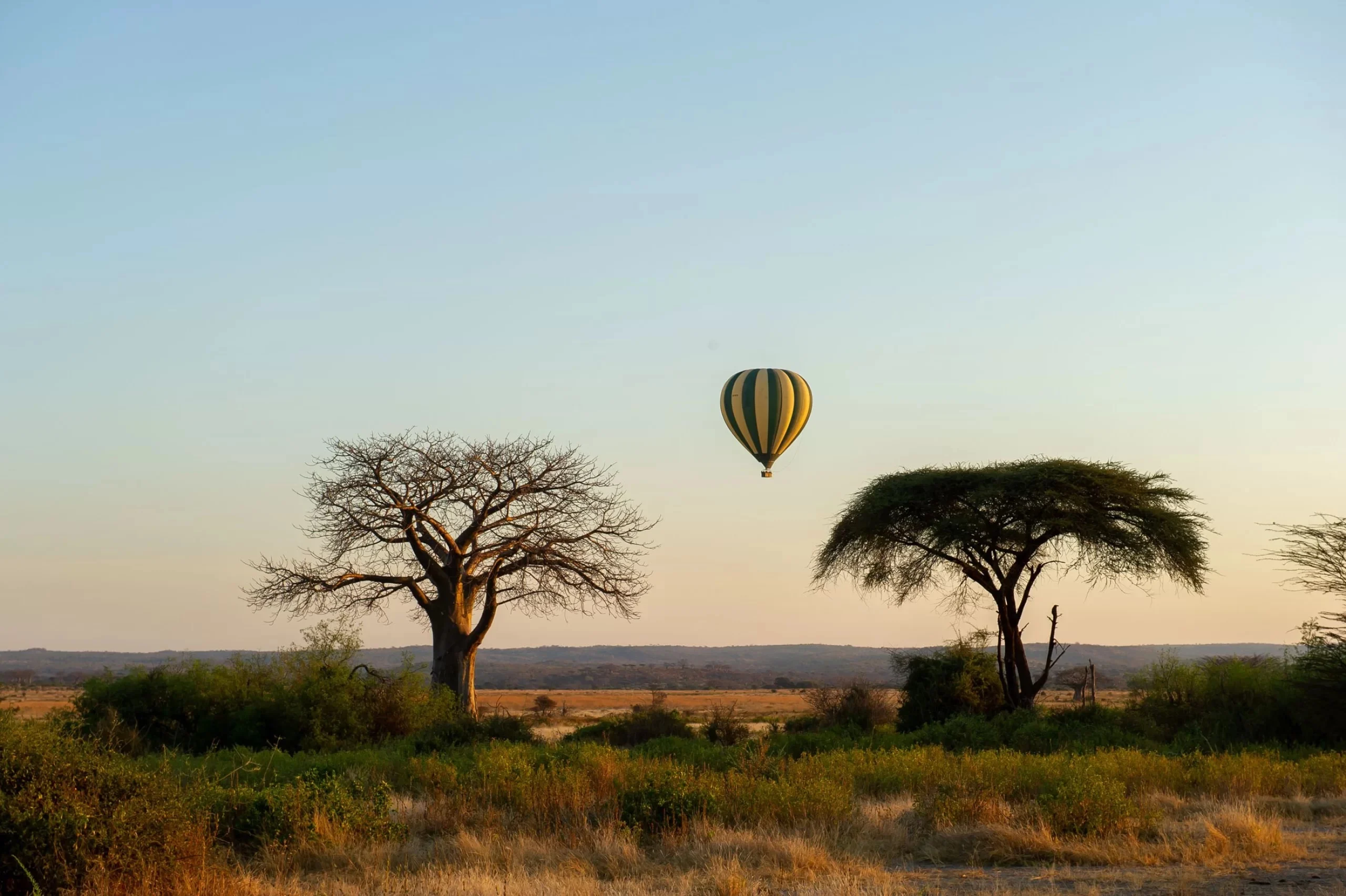 Balloon safari