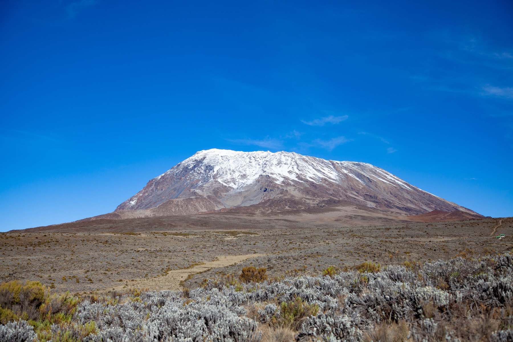 4-Day Tanzania Safari with Kilimanjaro Hike Adventure