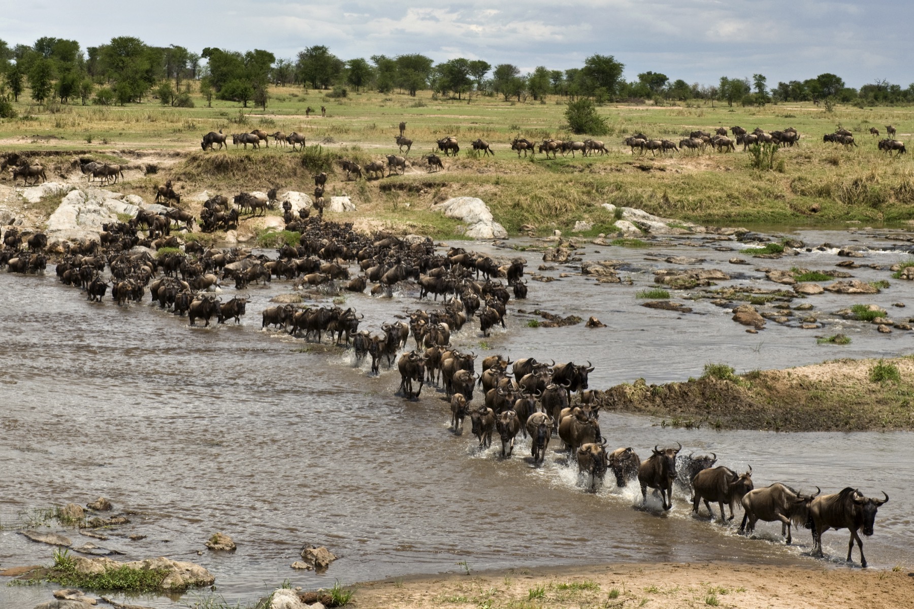 Great Migration