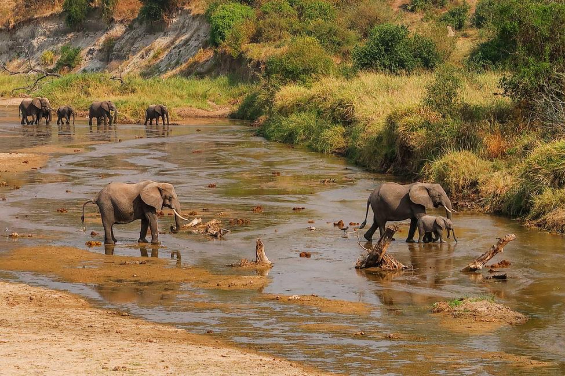 River crossings