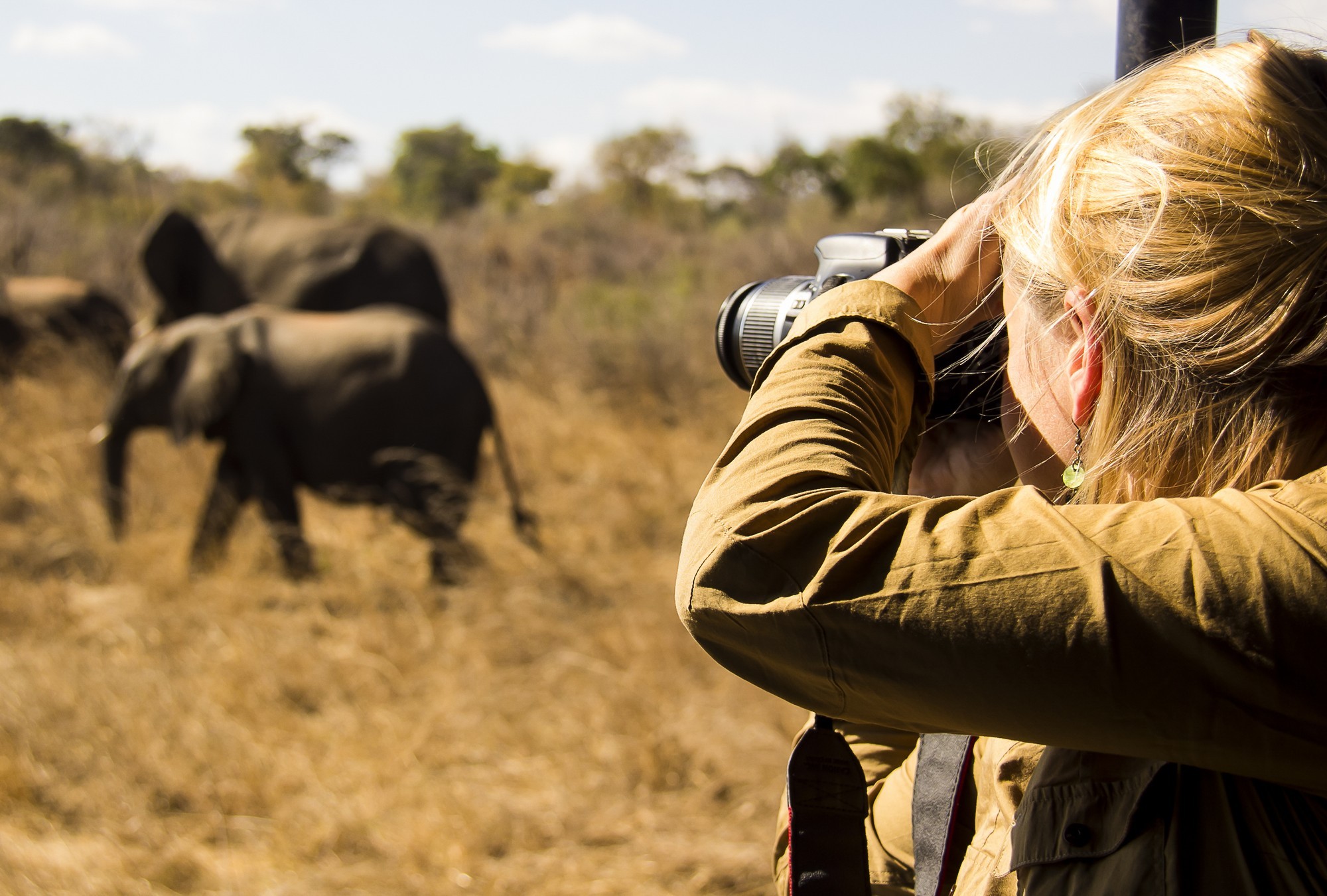 Photographic safari