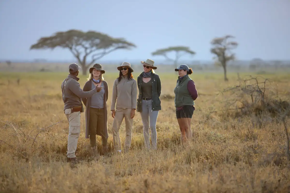 Walking safari