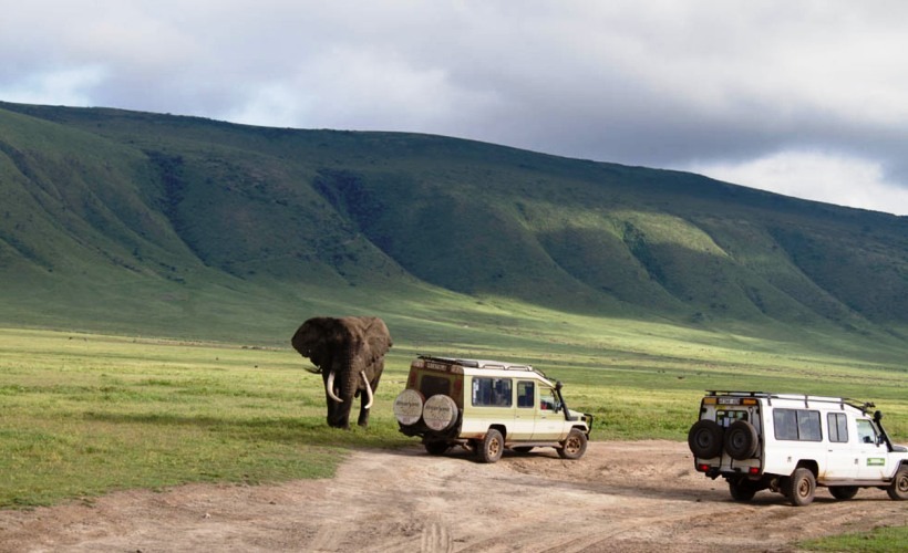 Safari Day 4: Ngorongoro Crater