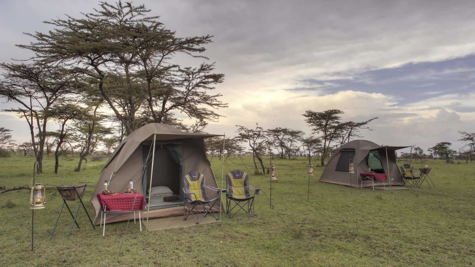 Budget camping Inside Ngorongoro Crater