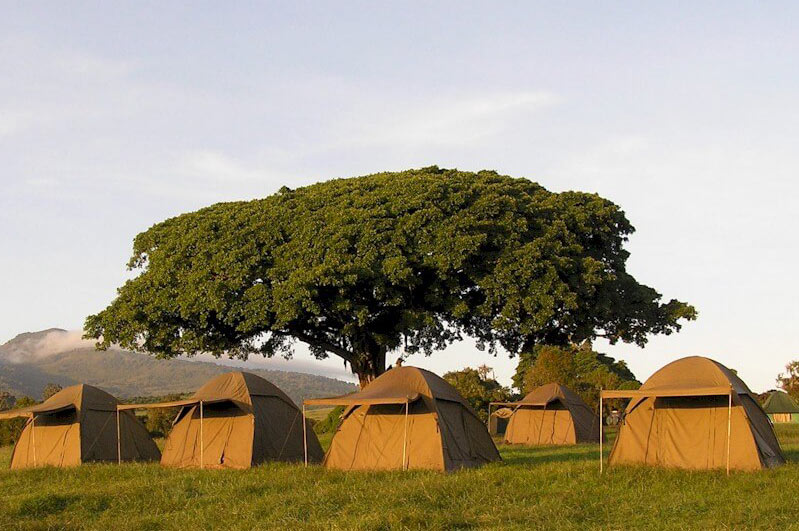 Budget camping Inside Ngorongoro Crater