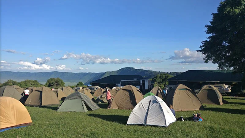 Budget camping Inside Ngorongoro Crater