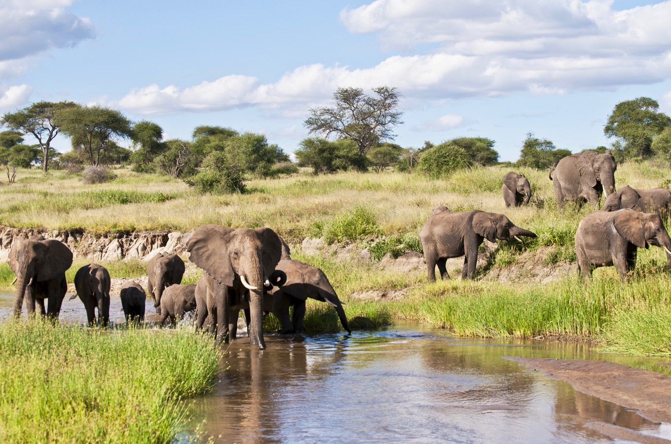 5-Day Experience Safari Combining Campsite and Lodges