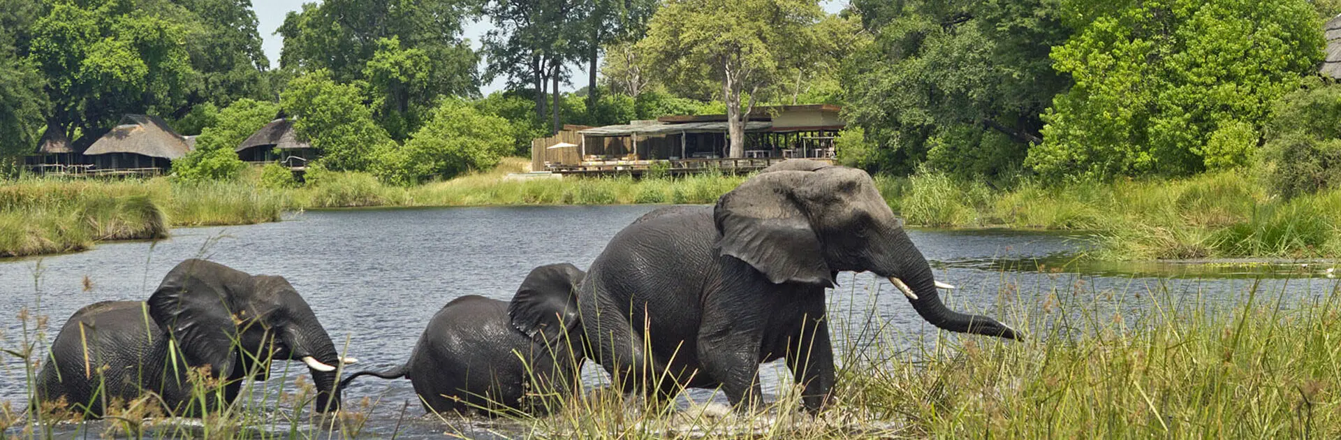 Safari Day 2: Tarangire NP