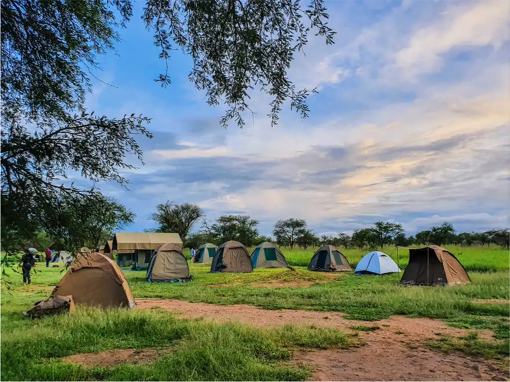Budget camping