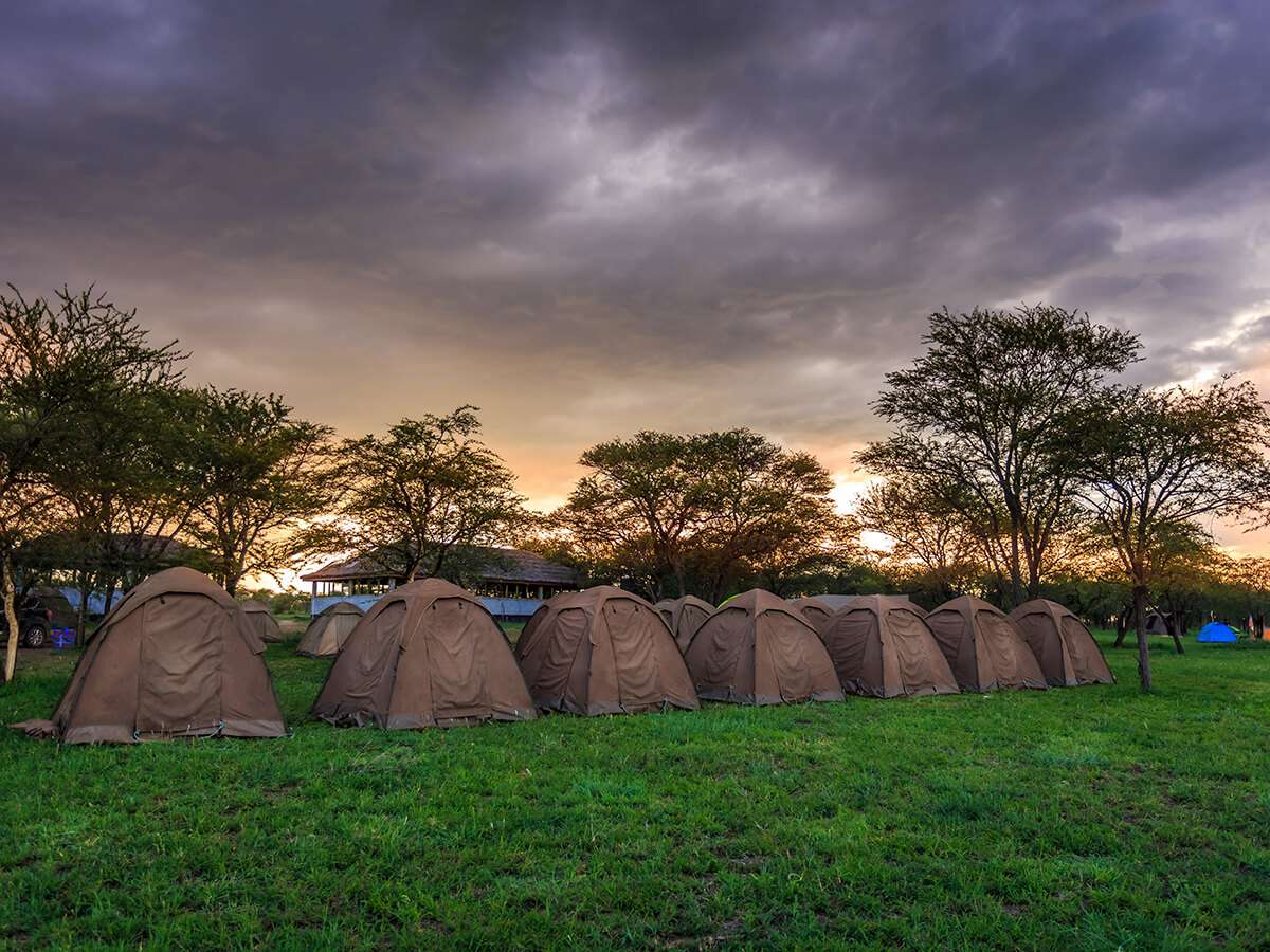Budget camping Inside Ngorongoro Crater