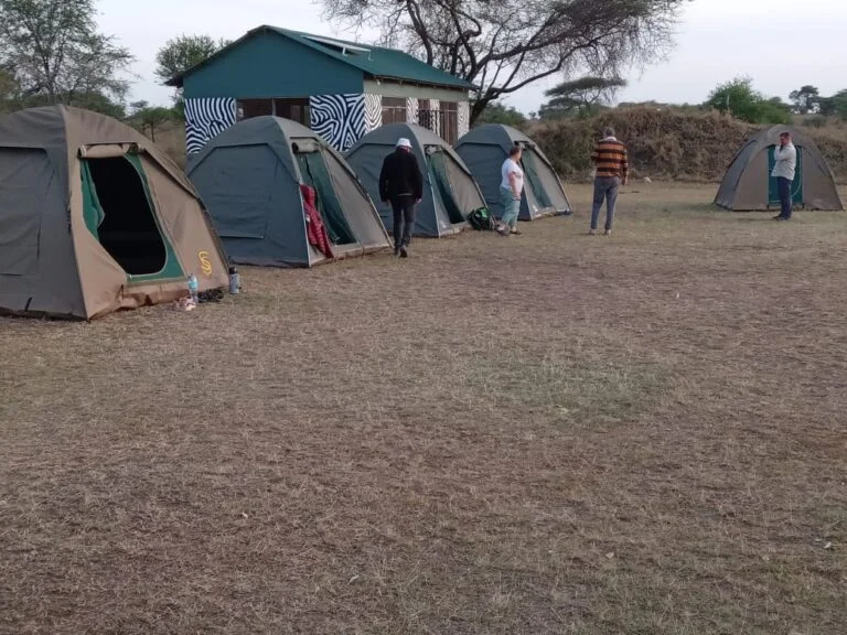 Budget camping Inside Central Serengeti National Park