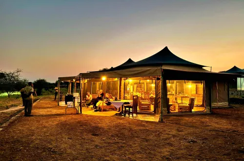 4-Day Luxury Fly-in Safari Expedition