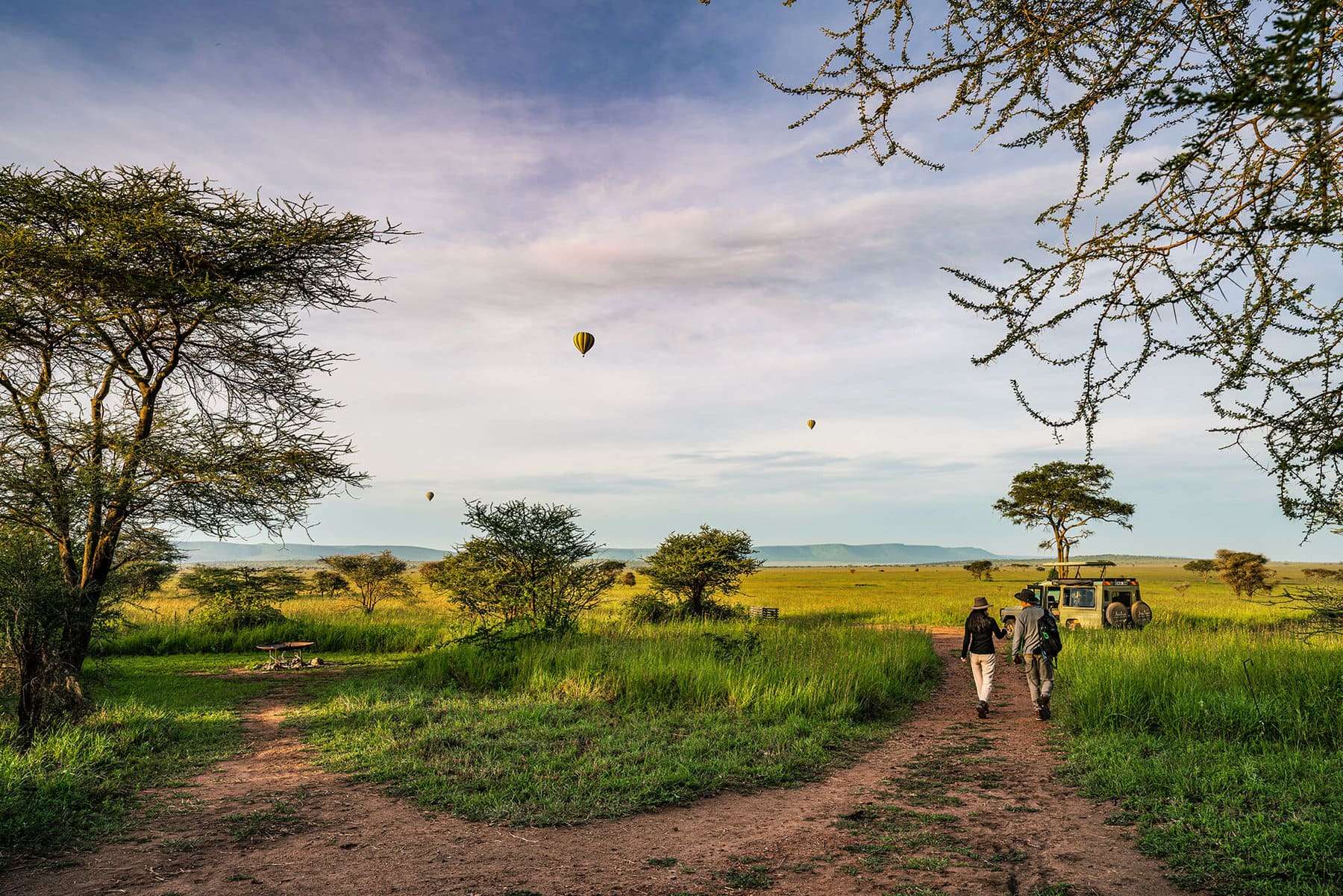 Guest photographing wildlife on safari